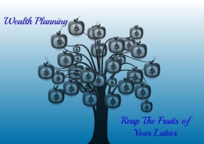 Wealth Plan Money Tree